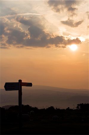 dartmoor national park - Sunrise over road sign and Dartmoor Tors,South Devon,England Foto de stock - Con derechos protegidos, Código: 862-03353141