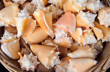 simsearch:862-03353057,k - A basket of sea shells for sale at a shop in St Ives,Cornwall,England Stock Photo - Rights-Managed, Code: 862-03353346