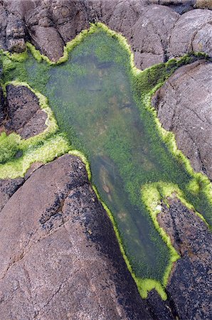 simsearch:862-03353356,k - Sea lettuce lines a rock pool on the shore of the Cot Valley,Cornwall,England Foto de stock - Con derechos protegidos, Código: 862-03353366