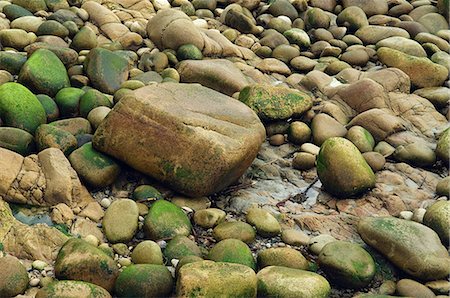 simsearch:862-03353339,k - Boulders on the shore of the Cot Valley,Cornwall,England Foto de stock - Con derechos protegidos, Código: 862-03353367