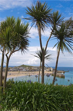 A view over the bay of the old fishing port of St Ives,Cornwall,England Stock Photo - Rights-Managed, Code: 862-03353360