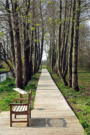 riverwalk - England,Dorset,Athelhampton House is one of the finest examples of 15th century domestic architecture in the country. Medieval in style predominantly and surrounded by walls,water features and secluded courts. The River Walk alongside the River Piddle was constructed in 2003 and provides a gentle,signposted,walk through the areas natural habitat. Foto de stock - Con derechos protegidos, Código: 862-03353617