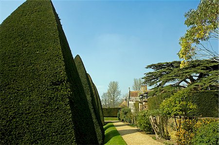 english garden landscaping - England,Dorset. Athelhampton House is one of the finest examples of 15th century domestic architecture in the country. Medieval in style predominantly and surrounded by walls,water features and secluded courts. Here the topiary of the Great Court is a masterpiece of Francis Inigo Thomas. Stock Photo - Rights-Managed, Code: 862-03353618