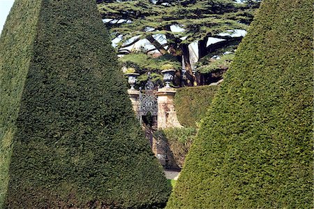 England,Dorset. Athelhampton House is one of the finest examples of 15th century domestic architecture in the country. Medieval in style predominantly and surrounded by walls,water features and secluded courts. Here the topiary of the Great Court is a masterpiece of Francis Inigo Thomas. Stock Photo - Rights-Managed, Code: 862-03353619