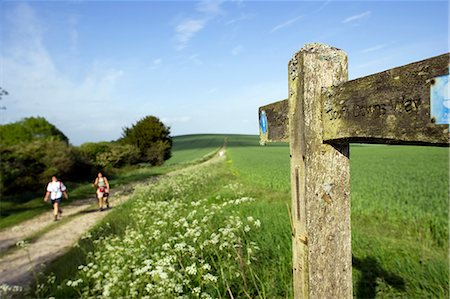 simsearch:862-03710966,k - Angleterre, West Sussex, South Downs Way. Le 160 km de long « South Downs Way » suit le vieux itinéraires et nichés le long de l'escarpement de la craie et les crêtes des South Downs. Le sentier est partagé par les marcheurs, les cyclistes et les cavaliers. Photographie de stock - Rights-Managed, Code: 862-03353657