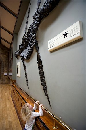 people in marine tourism - England,London,Natural History Museum. A young girl gazes fascinated up at a fossilised dinosaur in the a viewing gallery of one of the world's most important visitor centres. . Stock Photo - Rights-Managed, Code: 862-03353651