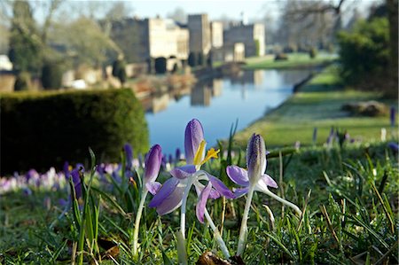 England,Dorset,Thorncombe. Forde Abbey forms part of the boundary between Dorset and Somerset and its elegant former Cistercian monastery and its 30 acres of award winning gardens located within an Area of Outstanding Natural Beauty make it one of West Dorsets premier tourist locations. Early morning crocuses overlook ornamental lake. Foto de stock - Con derechos protegidos, Código: 862-03353703