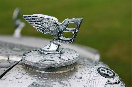 Motif and logo of Bentley car Stock Photo - Rights-Managed, Code: 862-03353725