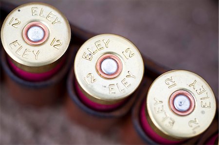 England. 12 bore shotgun cartridges in a cartridge belt Fotografie stock - Rights-Managed, Codice: 862-03353740