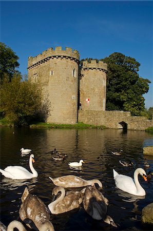 simsearch:862-03353772,k - L'Angleterre ; Shropshire ; Whittington. Cygnes nagent dans le fossé qui entoure le château Whittington. Photographie de stock - Rights-Managed, Code: 862-03353835