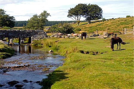 ford - Parc National de Dartmoor, Devon, l'Angleterre. Une scène typique avec des poneys sauvages marécage pâturage devant un ancien en pierre construit pont traversant l'un des Maures de nombreux cours d'eau. Photographie de stock - Rights-Managed, Code: 862-03353861