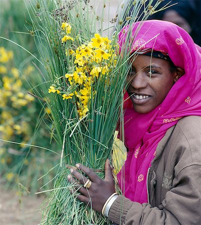 simsearch:862-03820387,k - Une femme vend des marguerites jaunes à côté de la route dans la banlieue d'Addis Abeda, capitale de l'Éthiopie.Ces marguerites (Bidens sp.) sont appelées par les Éthiopiens Meskal marguerites car ils fleurissent en septembre lors de la fête chrétienne orthodoxe de Meskal, ou la conclusion de la célébration de la vraie Croix. Photographie de stock - Rights-Managed, Code: 862-03353980