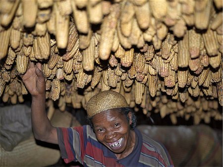 A Zafimaniry woman removes a dried maize cob hanging from the ceiling of her house. Due to the frequency of rain and low mist,the Zafimanry keep their maize harvest in their houses to dry. Stock Photo - Rights-Managed, Code: 862-03364045