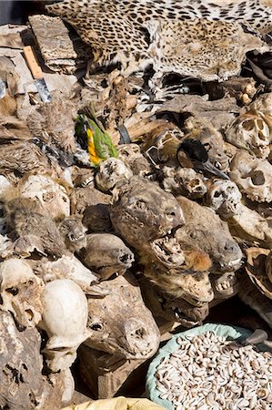 Mali, Bamako. Un étal de marché en vendant des crânes d'animaux sauvages, oiseaux, peaux et coquillages à des fins médicinales et autres croyances traditionnelles de Bamako. Photographie de stock - Rights-Managed, Code: 862-03364118