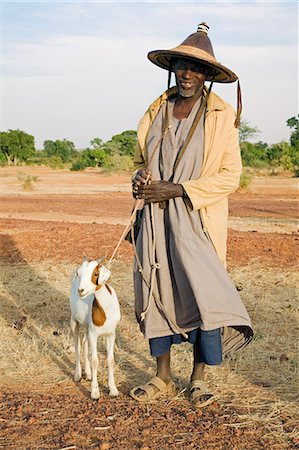 Mali, Mopti. Un homme de Peuls coiffé d'un chapeau traditionnel empoche une chèvre qui il a acheté dans un marché hebdomadaire. Les peuls sont essentiellement pastorales gens dispersés dans plusieurs régions d'Afrique de l'Ouest. Photographie de stock - Rights-Managed, Code: 862-03364155