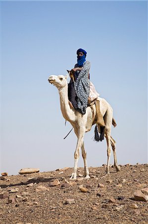 Mali, Timbuktu. Touareg fier chevauche son chameau sur un terrain de stoney semi-désertique près de Tombouctou. Photographie de stock - Rights-Managed, Code: 862-03364233