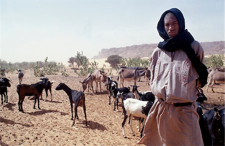 donkeys africa - Shepherd / Goat Breeder in the desert Stock Photo - Rights-Managed, Code: 862-03364287