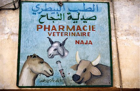 A sign advertising the services of a veterinarian pharmacy on the streets of Nouachott,the capital of Mauritania. Half the population of the west African nation still relies on agriculture and livestock for a livelihood. Stock Photo - Rights-Managed, Code: 862-03364316