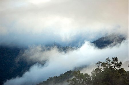 simsearch:862-03364338,k - Misty sunrise over Mount Kinabalu National Park,Sabah,Borneo Foto de stock - Con derechos protegidos, Código: 862-03364334