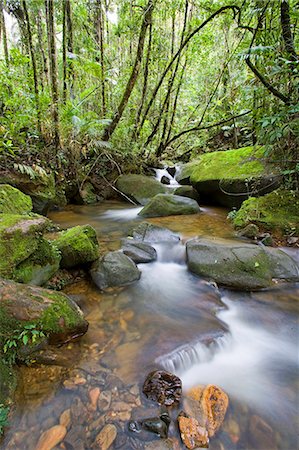Forêt tropicale et chute d'eau au Bioparc près de l'entrée du Parc National du mont Kinabalu, Sabah, Borneo Photographie de stock - Rights-Managed, Code: 862-03364344