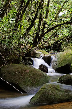 simsearch:862-03364327,k - Forêt tropicale et chute d'eau au Bioparc près de l'entrée du Parc National du mont Kinabalu, Sabah, Borneo Photographie de stock - Rights-Managed, Code: 862-03364345