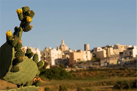 Malta,Mdina. View over the surrounding fields to the ancient walled city of Mdina. Fotografie stock - Rights-Managed, Codice: 862-03364481