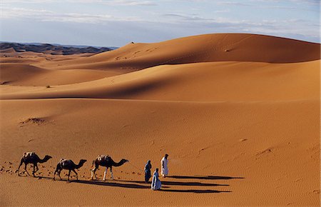 Berber tribesmen lead their camels through the sand dunes of the Erg Chegaga,in the Sahara region of Morocco. Stock Photo - Rights-Managed, Code: 862-03364596