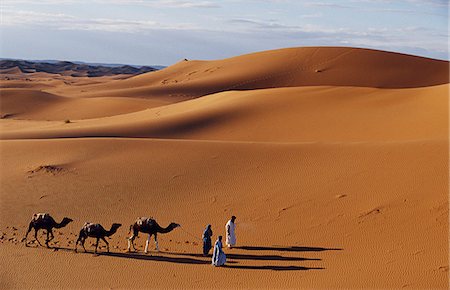 sahara camel - Berber tribesmen lead their camels through the sand dunes of the Erg Chegaga,in the Sahara region of Morocco. Stock Photo - Rights-Managed, Code: 862-03364596