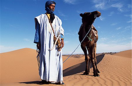 sahara camel - A Berber tribesman leads his camel through the sand dunes of the Erg Chegaga,in the Sahara region of Morocco. Stock Photo - Rights-Managed, Code: 862-03364597