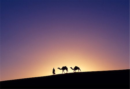 A Berber tribesman is silhouetted as he leads his two camels along the top of sand dune in the Erg Chegaga,in the Sahara region of Morocco. Foto de stock - Con derechos protegidos, Código: 862-03364591