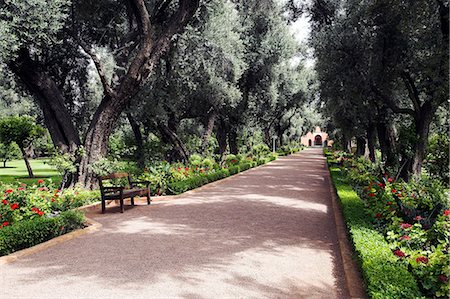 fußgängerweg - Die Gärten des berühmten Mamounia Hotel in Marrakesch. Stockbilder - Lizenzpflichtiges, Bildnummer: 862-03364721