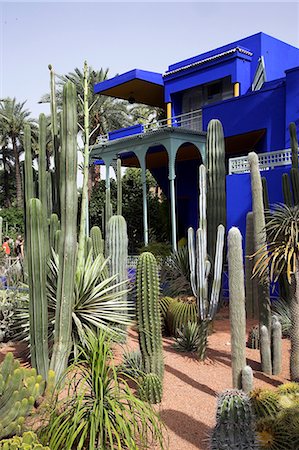 The sub-tropical Jardin Majorelle in the Ville Nouvelle of Marrakech. Designed by the French painter Jacques Majorelle who lived here from 1922 to 1962,it is now owned by the fashion designer Yves Saint-Laurent. The central blue building is also home to the Museum of Islamic Art. Stock Photo - Rights-Managed, Code: 862-03364737