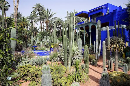 The sub-tropical Jardin Majorelle in the Ville Nouvelle of Marrakech. Designed by the French painter Jacques Majorelle who lived here from 1922 to 1962,it is now owned by the fashion designer Yves Saint-Laurent. The central blue building is also home to the Museum of Islamic Art. Stock Photo - Rights-Managed, Code: 862-03364738