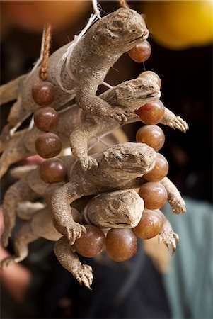 street market stall marakech - Morocco,Marrakech,Marche des Epices. Lizards on sale in the Spice Market. Stock Photo - Rights-Managed, Code: 862-03364857