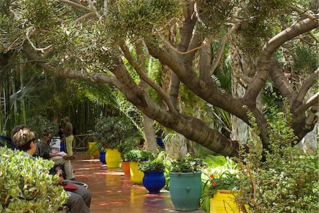 Maroc, Marrakech, Jardin Majorelle. Le jardin Majorelle est un jardin botanique à Marrakech, Maroc. Il a été conçu par l'artiste expatrié français Jacques Majorelle en 1924 et depuis 1980, le jardin a été dirigé par Yves Saint-Laurent et Pierre Bergé. Photographie de stock - Rights-Managed, Code: 862-03364851