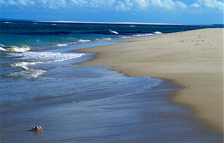 Crabes sur la plage Photographie de stock - Rights-Managed, Code: 862-03364887