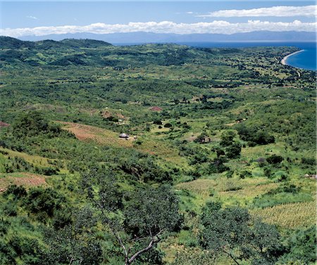 Fertile farming country on the slopes of the Rift Valley Escarpment to the west of Lake Malawi. The Livingstone Mountains rise steeply the far side of the lake. Foto de stock - Con derechos protegidos, Código: 862-03365041