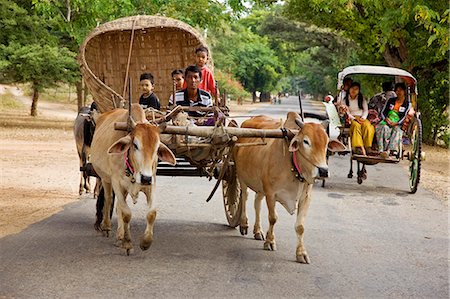 Myanmar. Burma. Bagan. An ox-drawn farm cart passes a horse-drawn buggy on the road to Nyaung U market. Foto de stock - Con derechos protegidos, Código: 862-03365100