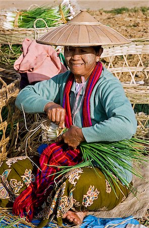 Myanmar,Burma,Lake Inle.A woman bundles fresh spring onions at the popular Phaung Daw Oo market where all kinds of farm produce are sold. Foto de stock - Direito Controlado, Número: 862-03365161