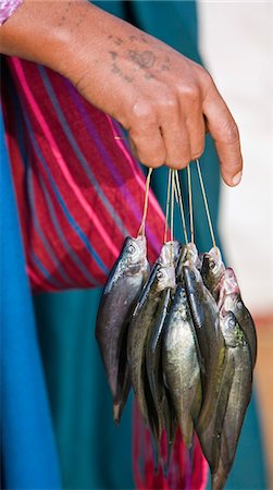 Myanmar,Burma,Lake Inle. A woman holding fresh fish for sale at Indein market. Note the tattoo on the back of her hand. Foto de stock - Con derechos protegidos, Código: 862-03365178