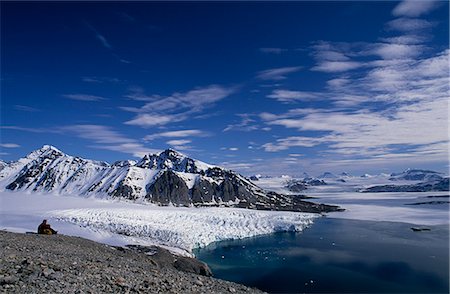 simsearch:862-03365535,k - Wanderer ruht auf einem Berg mit Blick auf Kongsfjorden. Stockbilder - Lizenzpflichtiges, Bildnummer: 862-03365513