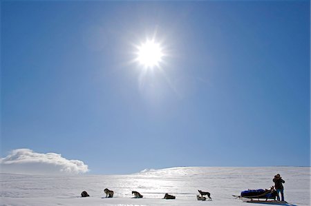 Alpes de Lyngen Troms, Norvège. Voyage dans les montagnes des Alpes de Lyngen par traîneau à chiens guidé par l'Explorateur vétéran par Thore Hansen. Photographie de stock - Rights-Managed, Code: 862-03365593