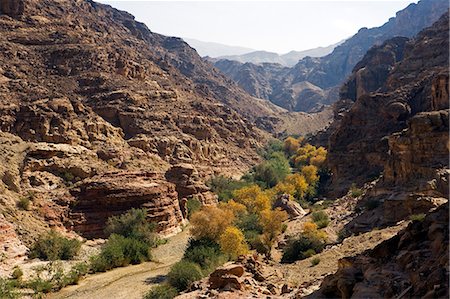 Jordan,Shara Mountains. The arid valleys leading from the central plateau towards the Dead Sea Valley provide life sustaining water and excellent trekking routes through the otherwise impassible mountain barrier. Fotografie stock - Rights-Managed, Codice: 862-03365948