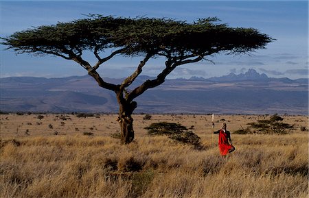 Maasai warrior framed by a flat topped acacia tree and Mt. Kenya (17,050 ft) . Foto de stock - Direito Controlado, Número: 862-03365975