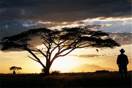 Je regarde le soleil descendre derrière la montagne de Longido sur un safari de Tortilis Camp. Photographie de stock - Rights-Managed, Code: 862-03366002