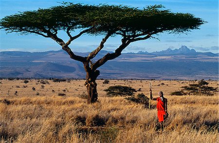 Kenya,Mount Kenya,Lewa Downs. Maasai warrior at Lewa Downs with Mount Kenya in background. Foto de stock - Con derechos protegidos, Código: 862-03366013