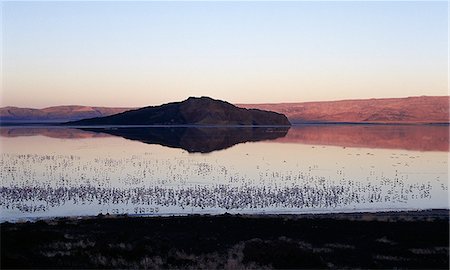 simsearch:862-03366389,k - Cathedral Rock stands out dark and foreboding in Lake Lokipi as the first rays of sun bring colour to the lava mountains that surround the southern end of the Suguta Valley. Lokipi is seasonal but lesser flamingos flock here after rain. Stock Photo - Rights-Managed, Code: 862-03366073