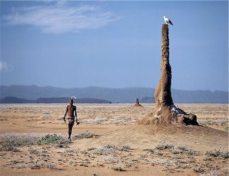 A Turkana man strides purposefully across the treeless Lotagipi Plains as an Egyptian vulture (Neophron percnopterus) watches him atop a termite mound. Stock Photo - Rights-Managed, Code: 862-03366090