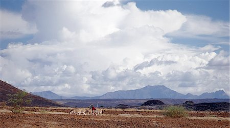 Un homme de Turkana conduit son âne à travers les champs de lave comme les nuages s'amoncellent au-dessus de Mont Nyiru. Photographie de stock - Rights-Managed, Code: 862-03366131