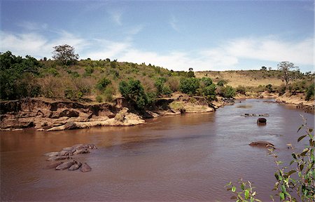 Kenya, Masai Mara. Mara River Photographie de stock - Rights-Managed, Code: 862-03366368